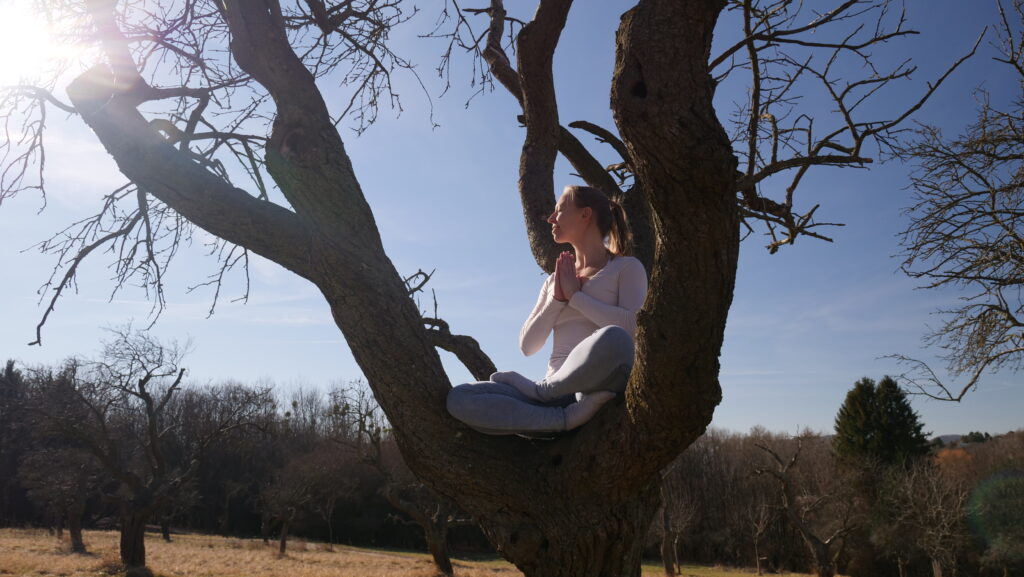 Frau sitzt im Schneidersitz in einem kahlen Baum und lässt sich die Sonne ins Gesicht scheinen, womit sie den Punkt "Natur" auf ihrer Selbstfürsorge Liste abhaken kann